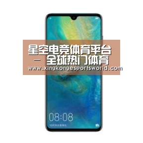 华为无线快充手机