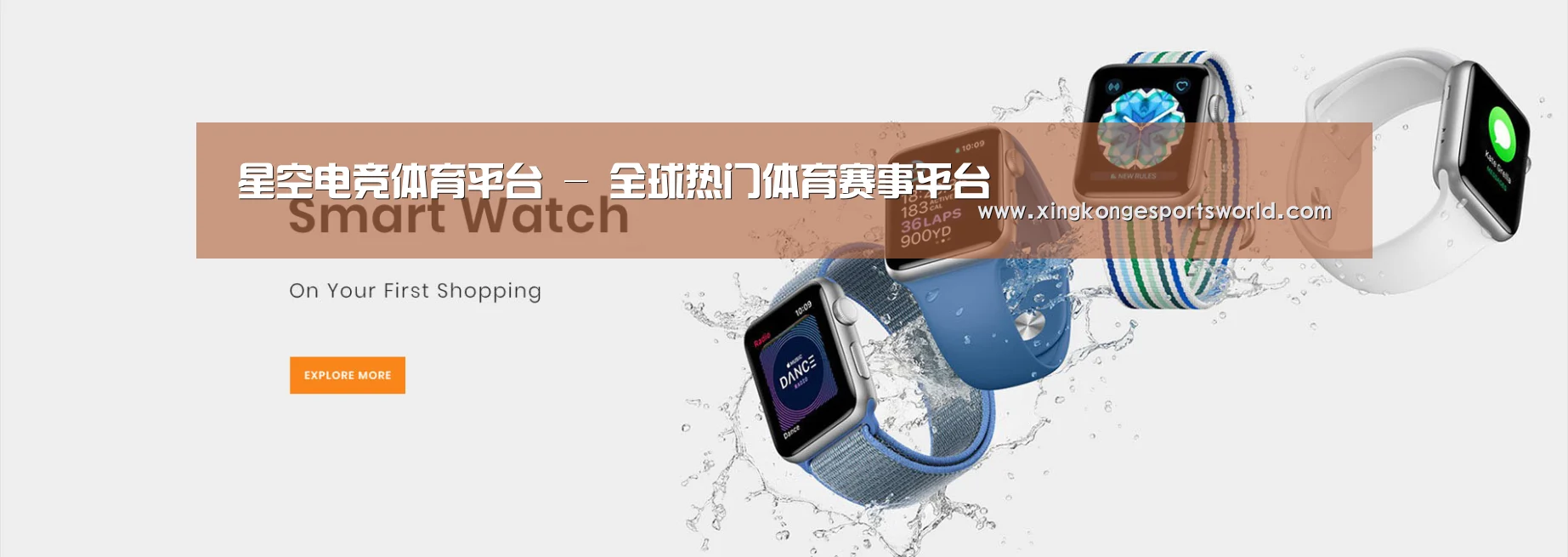 某某网络科技有限公司