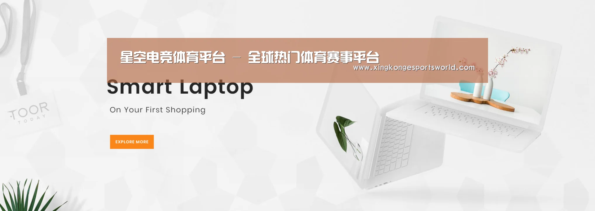 某某网络科技有限公司