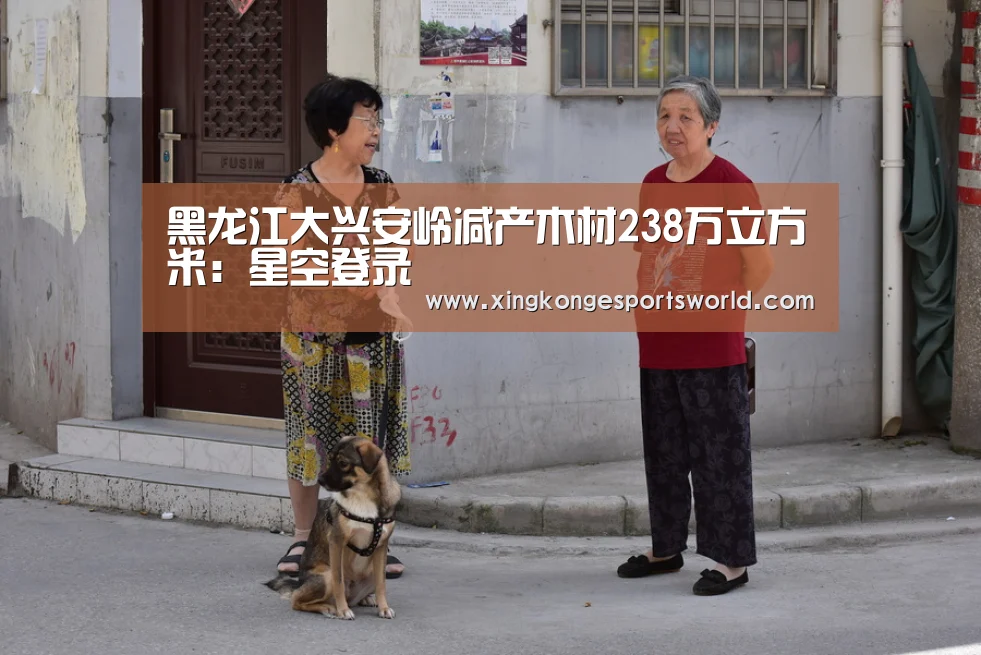 星空娱乐